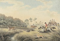 Hunting a Hog-Deer: plate 24 for "Oriental Field Sports"