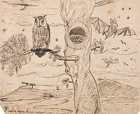 Landscape with Owl and Bats