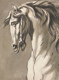 Study of a Horse's Head