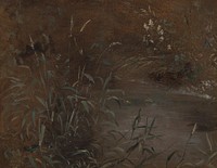 Rushes by a pool by John Constable