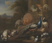 Peacocks, Doves, Turkeys, Chickens and Ducks by a Classical Ruin