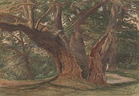 Trees in a Landscape