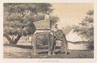 An Elephant and Howdah