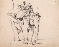 An Elephant