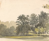 Landscape with Trees