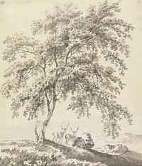 Tree Study with Stags (Landscape)