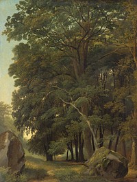 A Wooded Landscape