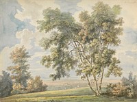 Landscape with Trees and Sheep  (Park Landscape with Sheep)