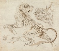 Study for a Tiger and Monkeys