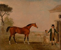 'Sultan' at the Marquess of Exeter's Stud, Burghley House by Lambert Marshall