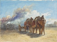 Elephant Battery