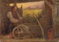 The Old Gardener