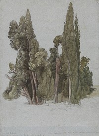 The Cypresses at the Villa d'Este, Tivoli