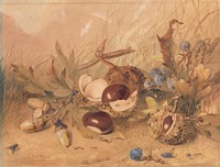 Still Life with Acorns and Horse Chestnuts