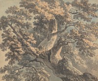 Study of a Tree, style of Paul Sandby RA
