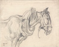 Head and Shoulders of a Cart Horse