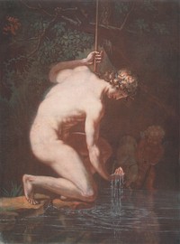 Narcissus