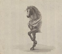 Study of the Front of a Horse