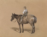 Stable Boy on a Pony