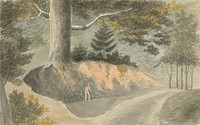 Road in the Forest by Edward Francis Burney
