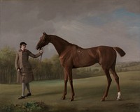 Lustre, held by a Groom by George Stubbs