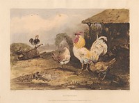 Rural Chivalry; A Series in six plates of Fighting Cocks:  1.  Attention