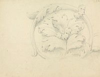 Detailed Sketch of the Stone Relief of a Flower