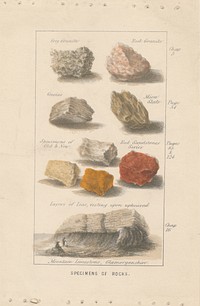 Specimens of Rocks. Proof of an Illustration for Wright's 'Globe Prepared for Man'.