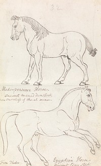 Medo-Persian Horse and Egyptian Horse by Charles Hamilton Smith