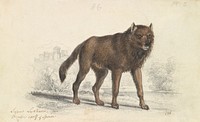 The Black Wolf by Charles Hamilton Smith