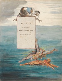 The Poems of Thomas Gray, Design 7, "Ode on the Death of a Favourite Cat." by William Blake. Original public domain image from Yale Center for British Art.