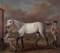 The Duke of Hamilton's Grey Racehorse 'Victorious' at Newmarket