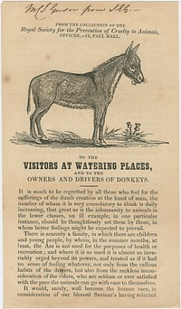 To the visitors at watering places, and to the owners and drivers of donkeys.