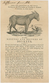 To the keepers and drivers of donkeys.