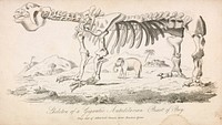 Conversations on geology : comprising a familiar explanation of the Huttonian and Wernerian systems ; the Mosaic geology / as explained by Granville Penn ; and the late discoveries of Professor Buckland, Humboldt, Dr. MacCulloch and others.