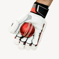 Cricket player hand isolated design