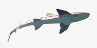 Shark isolated image