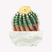 Yellow blooming cactus illustration, collage element psd