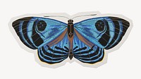 Blue vintage butterfly paper element with white border