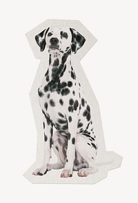 Dalmatian dog paper element  white border