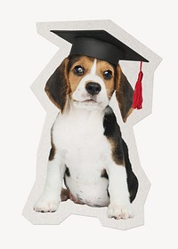Cute graduate Beagle puppy paper element with white border