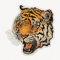 Roaring tiger paper element with white border