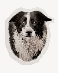 Collie dog   paper element with white border