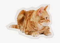 Ginger cat  paper element with white border