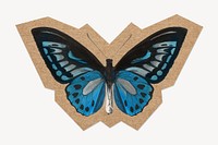 Blue butterfly, cut out paper element
