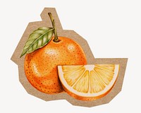 Orange fruit illustration, cut out paper element