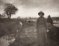 Poling the Marsh Hay by Peter Henry Emerson and Thomas Frederick Goodall