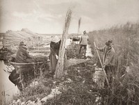 During the Reed-Harvest by Peter Henry Emerson and Thomas Frederick Goodall
