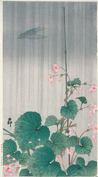 Begonias and Cuckoo in the Rain by Ohara Shōson