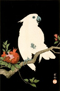 Cockatoo and Pomegranate by Ohara Shōson